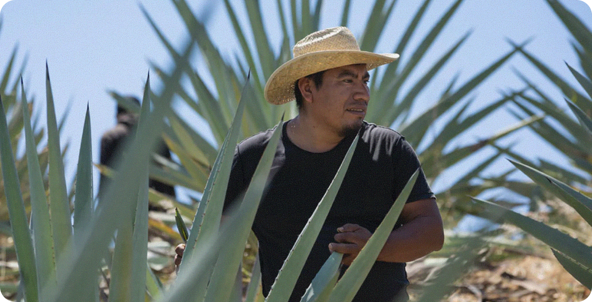 Crafted by Our Mezcal Maestro.