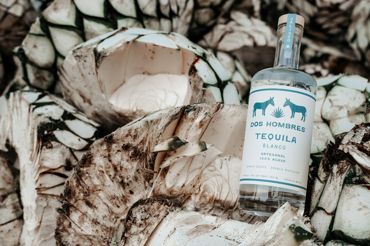 01 | AGAVE SELECTION