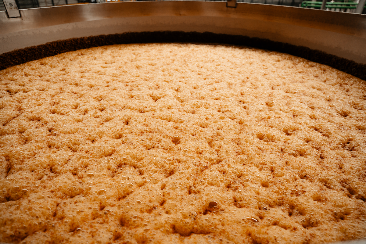 04 | OPEN AIR FERMENTATION